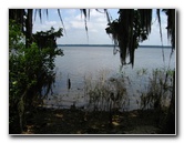 Palm-Point-Nature-Park-Newnans-Lake-Gainesville-FL-028