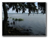 Palm-Point-Nature-Park-Newnans-Lake-Gainesville-FL-032