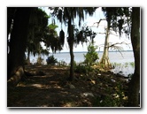 Palm-Point-Nature-Park-Newnans-Lake-Gainesville-FL-033