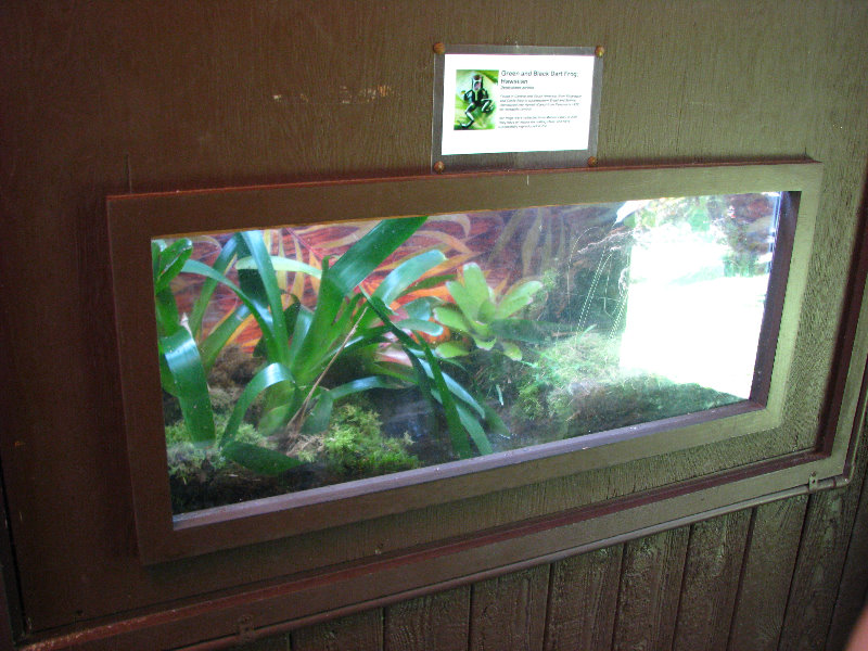 Panaewa-Rainforest-Zoo-and-Gardens-Hilo-Big-Island-Hawaii-024