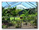 Panaewa-Rainforest-Zoo-and-Gardens-Hilo-Big-Island-Hawaii-001