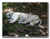 Panaewa-Rainforest-Zoo-and-Gardens-Hilo-Big-Island-Hawaii-009