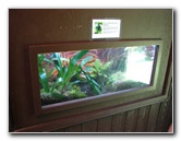 Panaewa-Rainforest-Zoo-and-Gardens-Hilo-Big-Island-Hawaii-024