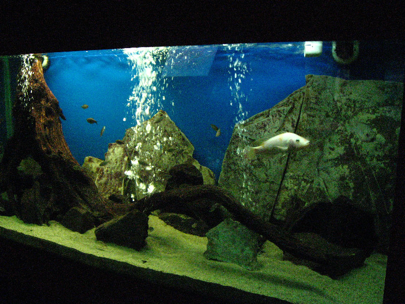 Panama-Canal-Museum-Miraflores-Locks-Visitor-Center-031