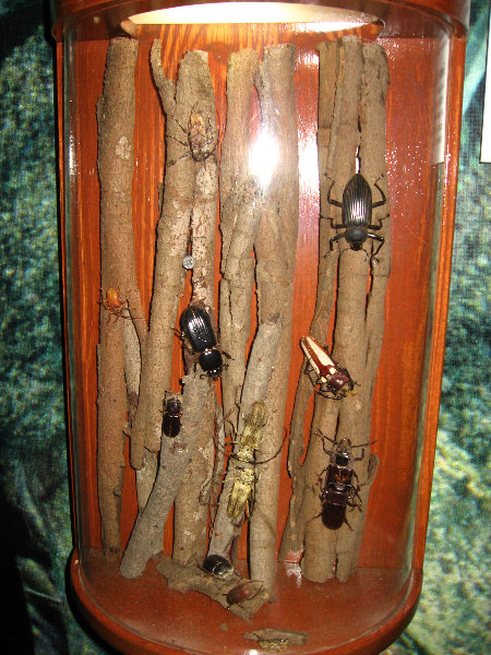 Panama-Canal-Museum-Miraflores-Locks-Visitor-Center-034