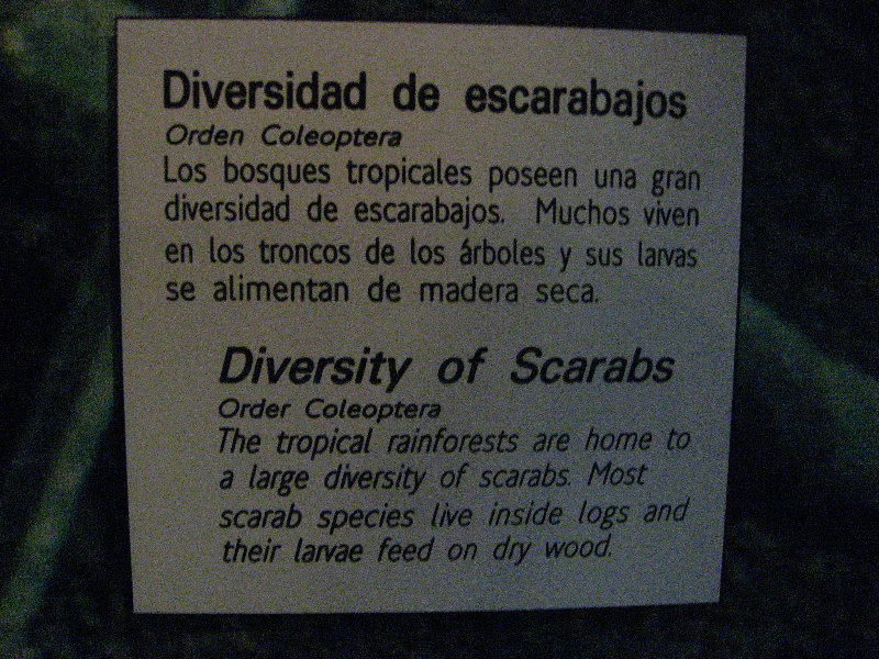 Panama-Canal-Museum-Miraflores-Locks-Visitor-Center-035
