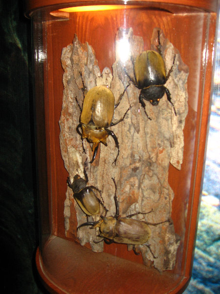 Panama-Canal-Museum-Miraflores-Locks-Visitor-Center-041