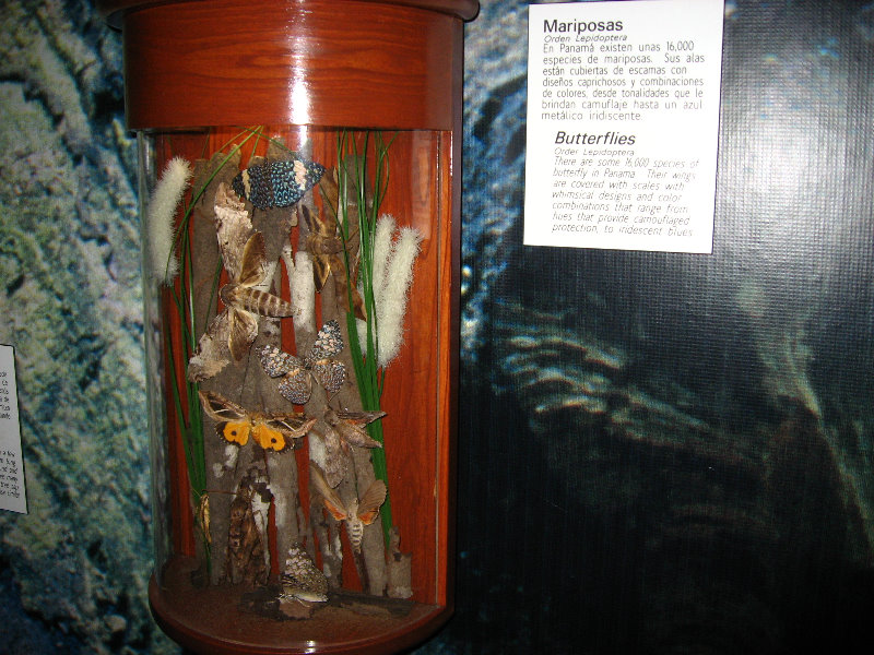 Panama-Canal-Museum-Miraflores-Locks-Visitor-Center-043