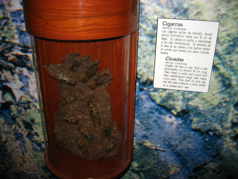Panama-Canal-Museum-Miraflores-Locks-Visitor-Center-045