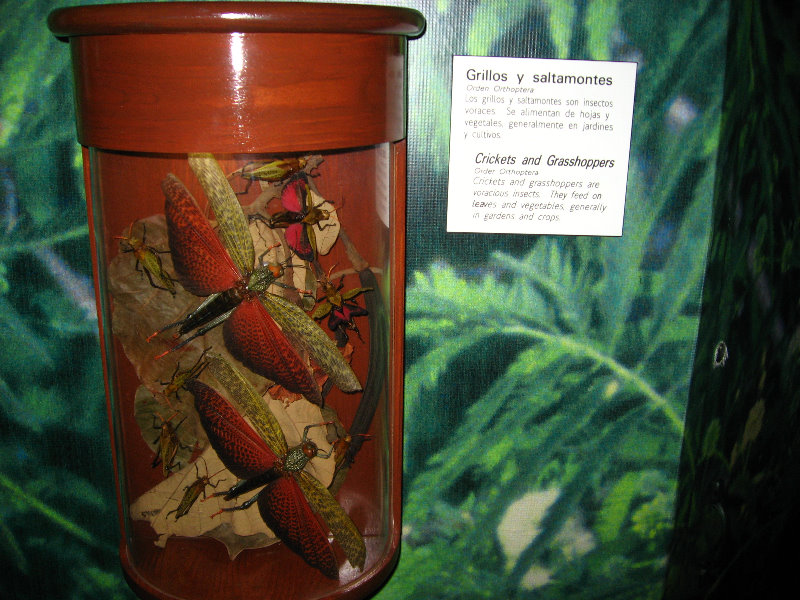 Panama-Canal-Museum-Miraflores-Locks-Visitor-Center-051