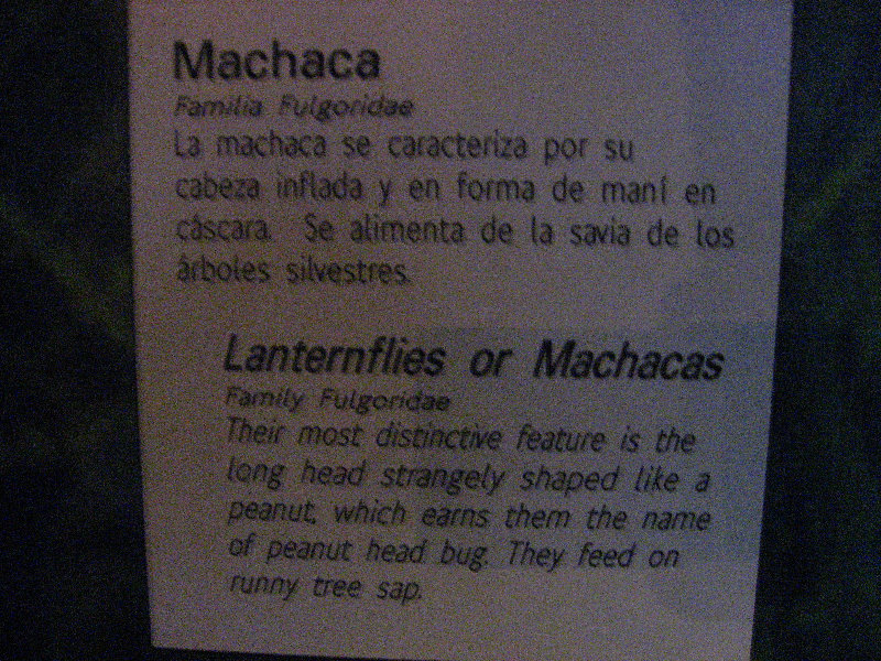 Panama-Canal-Museum-Miraflores-Locks-Visitor-Center-054