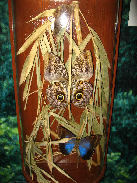 Panama-Canal-Museum-Miraflores-Locks-Visitor-Center-058