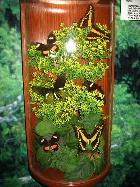 Panama-Canal-Museum-Miraflores-Locks-Visitor-Center-061