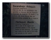 Panama-Canal-Museum-Miraflores-Locks-Visitor-Center-036