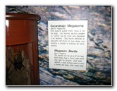 Panama-Canal-Museum-Miraflores-Locks-Visitor-Center-042