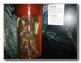 Panama-Canal-Museum-Miraflores-Locks-Visitor-Center-043