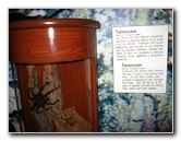 Panama-Canal-Museum-Miraflores-Locks-Visitor-Center-048