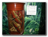 Panama-Canal-Museum-Miraflores-Locks-Visitor-Center-051