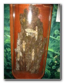 Panama-Canal-Museum-Miraflores-Locks-Visitor-Center-055