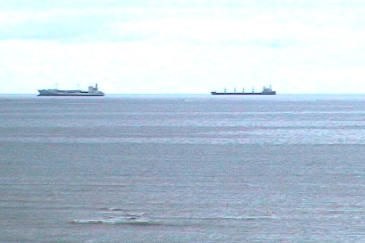 Panama-Canal-Tour-Central-America-002