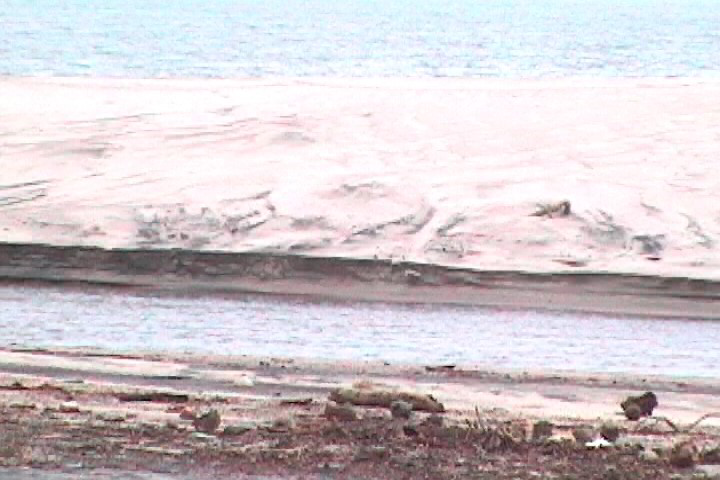 Panama-Canal-Tour-Central-America-125