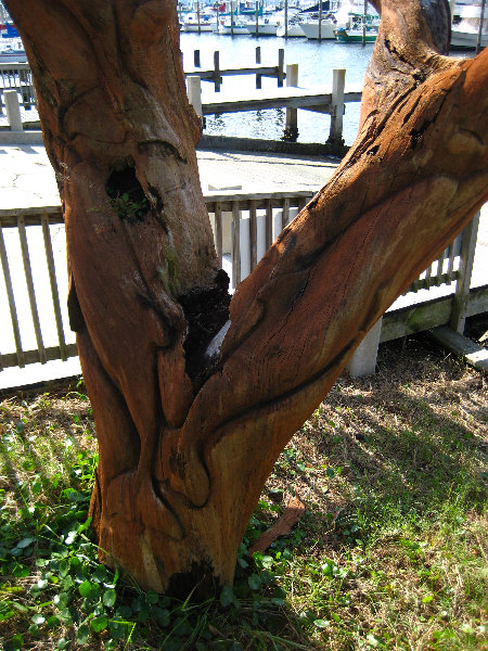 Panama-City-Beach-Bay-County-FL-014