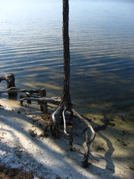 Panama-City-Beach-Bay-County-FL-026