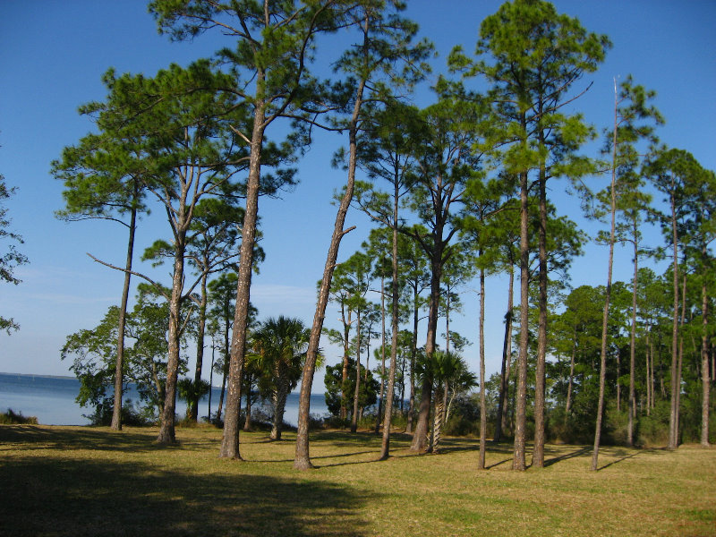 Panama-City-Beach-Bay-County-FL-033