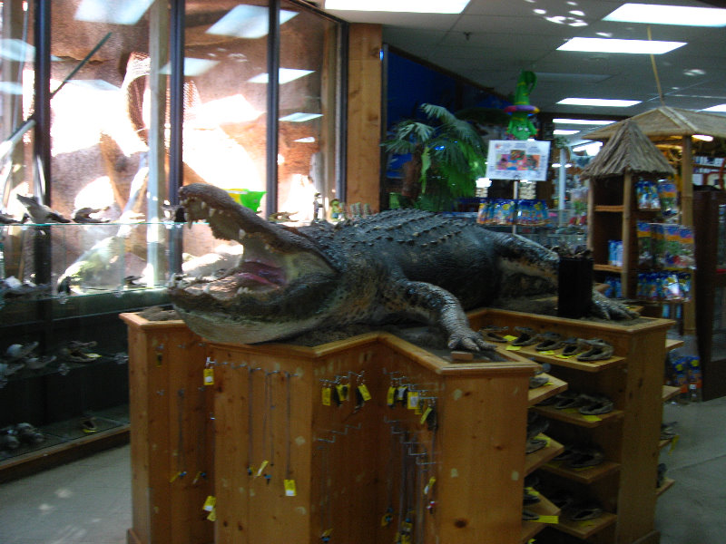 Panama-City-Beach-Bay-County-FL-048