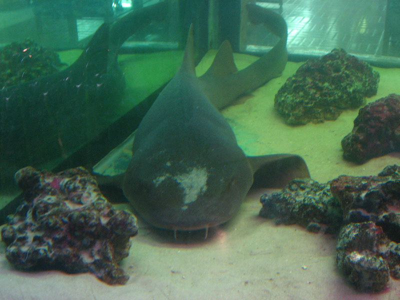 Panama-City-Beach-Bay-County-FL-050