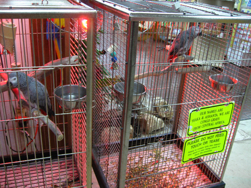 Panama-City-Beach-Bay-County-FL-051