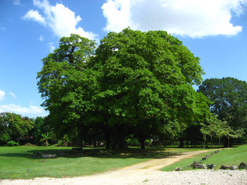 Panama-La-Vieja-Ruins-Pamama-City-073