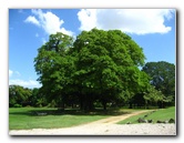 Panama-La-Vieja-Ruins-Pamama-City-073