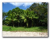 Panama-La-Vieja-Ruins-Pamama-City-077