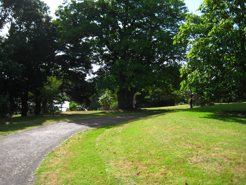 Parnell-Suburb-Auckland-North-Island-New-Zealand-002