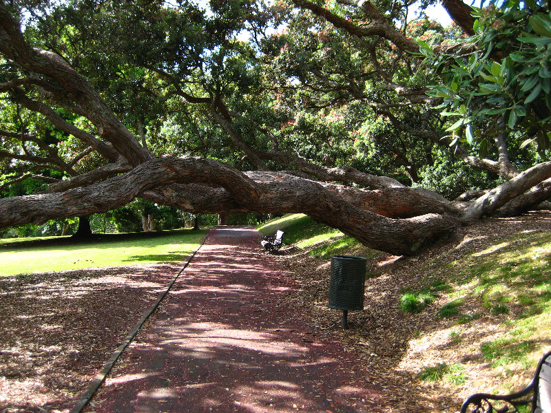 Parnell-Suburb-Auckland-North-Island-New-Zealand-004