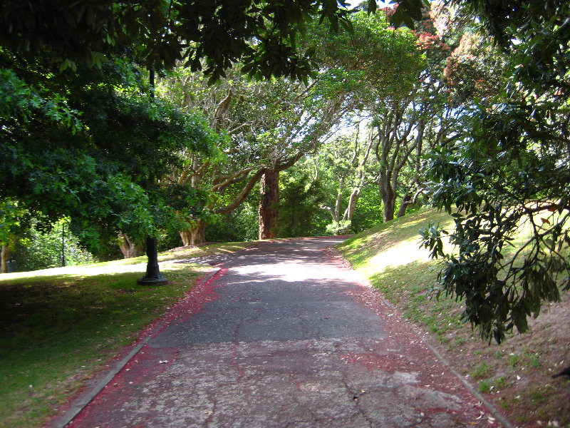 Parnell-Suburb-Auckland-North-Island-New-Zealand-007