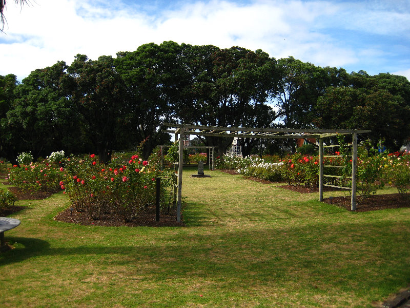 Parnell-Suburb-Auckland-North-Island-New-Zealand-011