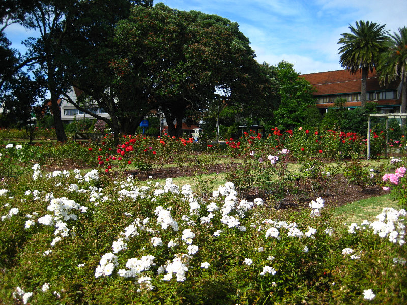 Parnell-Suburb-Auckland-North-Island-New-Zealand-014