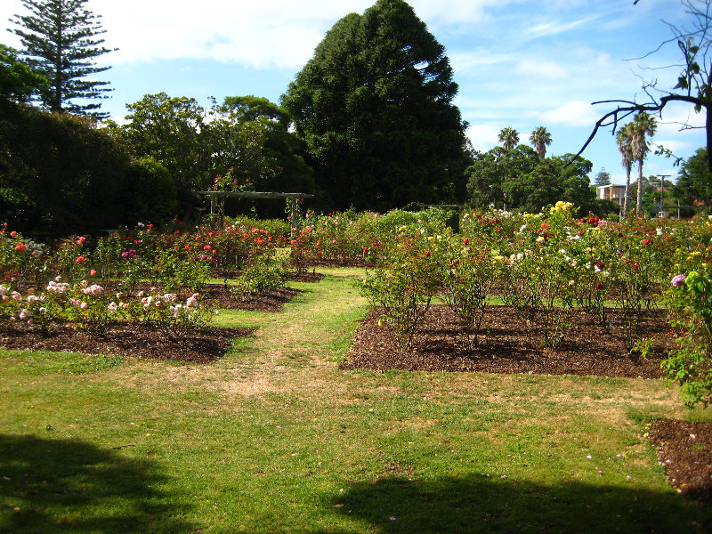 Parnell-Suburb-Auckland-North-Island-New-Zealand-019