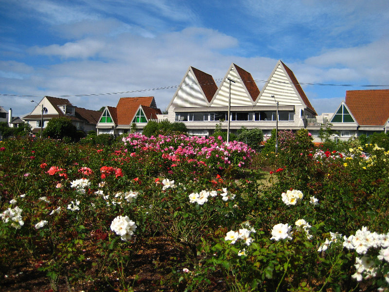 Parnell-Suburb-Auckland-North-Island-New-Zealand-020