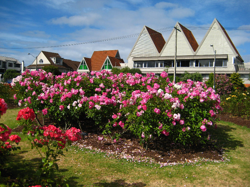 Parnell-Suburb-Auckland-North-Island-New-Zealand-023