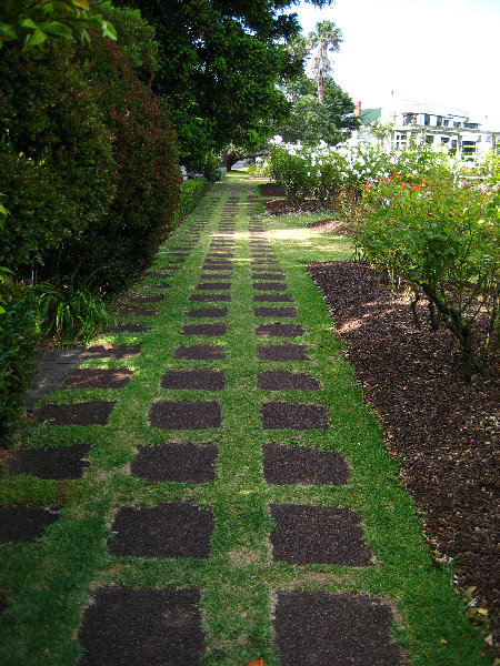 Parnell-Suburb-Auckland-North-Island-New-Zealand-025