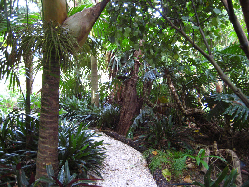 Parnell-Suburb-Auckland-North-Island-New-Zealand-038