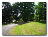 Parnell-Suburb-Auckland-North-Island-New-Zealand-002