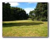 Parnell-Suburb-Auckland-North-Island-New-Zealand-003