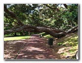 Parnell-Suburb-Auckland-North-Island-New-Zealand-004