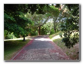 Parnell-Suburb-Auckland-North-Island-New-Zealand-007