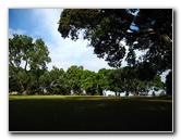 Parnell-Suburb-Auckland-North-Island-New-Zealand-008