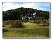 Parnell-Suburb-Auckland-North-Island-New-Zealand-011